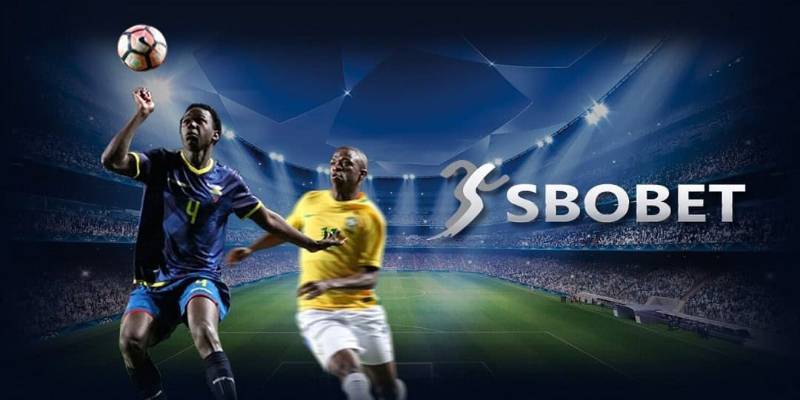 Sbobet Sport 68WIN - Đa Dạng Thể Loại Cho Bạn Lựa Chọn 4 Sbobet Sport 68WIN